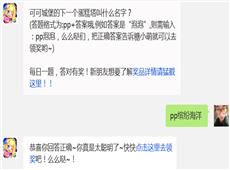 可可城堡的下一个蛋糕塔叫什么名字? 全民泡泡大战10月28日每日一题答案