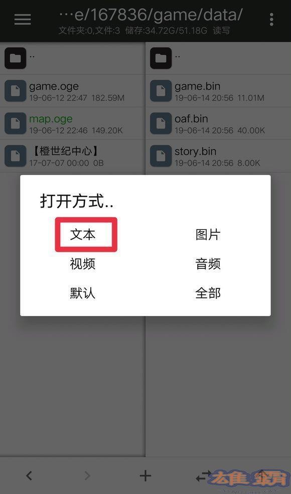 橙光金手指底包