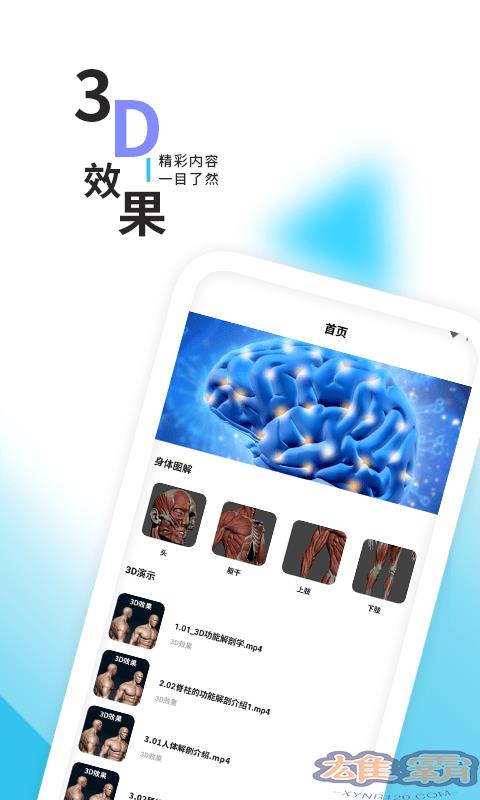 3d人体解剖学三维图谱