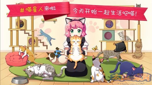 猫猫咖啡屋测试服